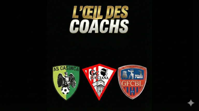 L&rsquo;oeil des coachs